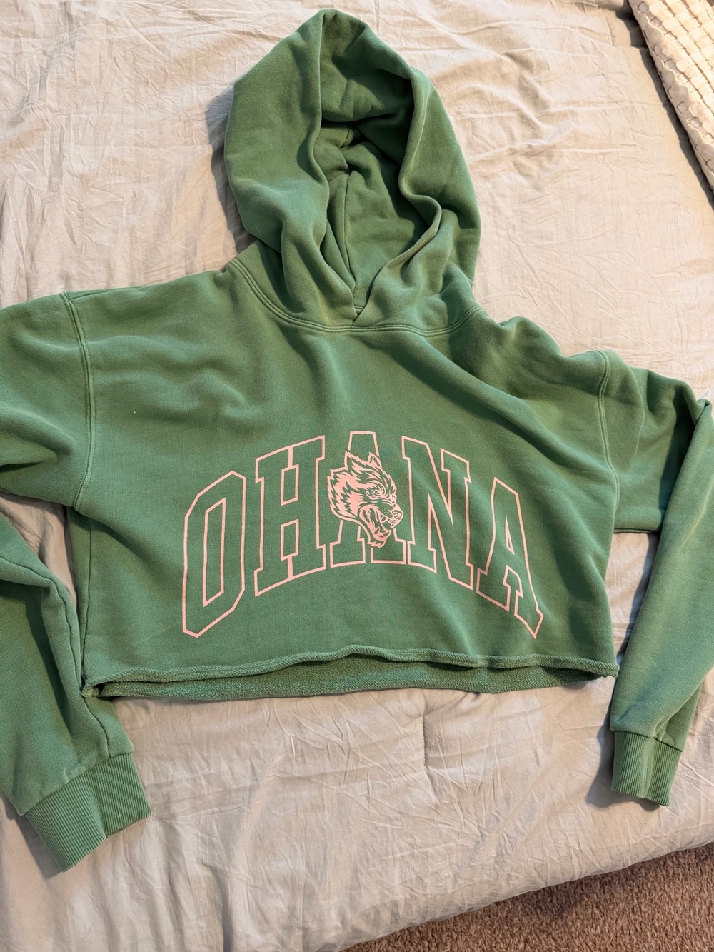 Darc Sport Cropped Hoodie